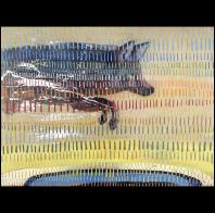 Amanda Wilner: Coyote with Trampoline